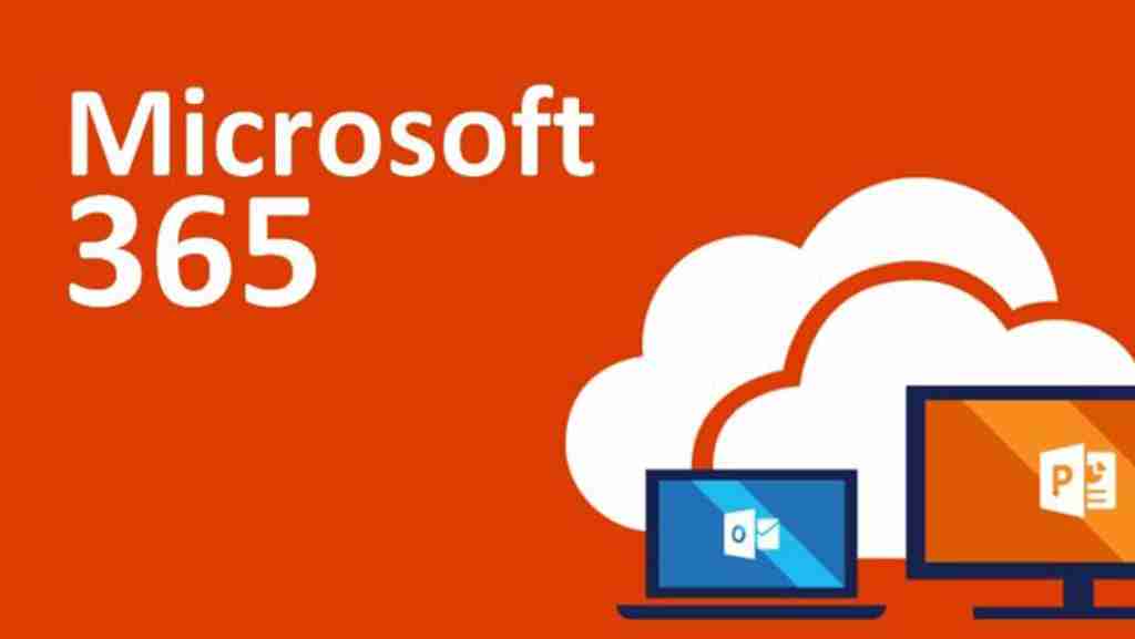 MS365